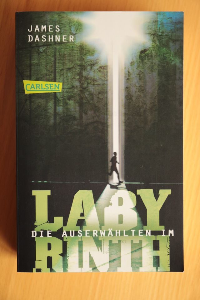 Buch „Die Auserwählten im Labyrinth“. Carlsen-Verlag in München