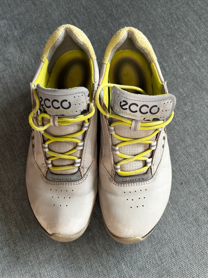 Ecco Golfschuhe 37 in Schwalmtal