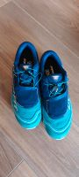 DYNAFIT Feline SL Trailrunning Schuh Gr. 41 Nordrhein-Westfalen - Nordkirchen Vorschau