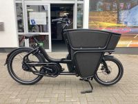 E-Lastenrad Urban Arrow Shorty Performance Niedersachsen - Osnabrück Vorschau