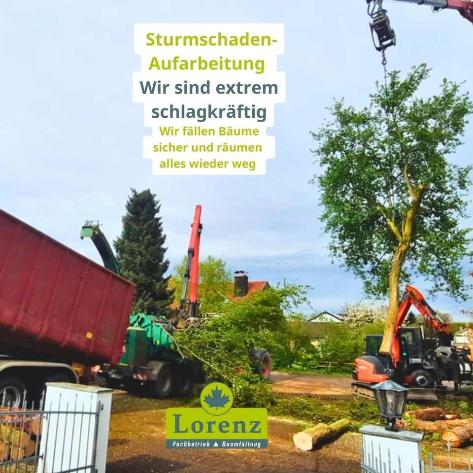 ❌ Holzrücken❌ Gipfelbruch ❌ Forstarbeiten ❌ Forstdienstleistungen in Bad Griesbach im Rottal