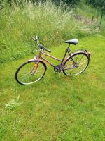 altes Fahrrad 28 Zoll Damenrad Sachsen - Bad Gottleuba-Berggießhübel Vorschau