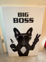 Big Boss Hunde Bild Nordrhein-Westfalen - Dinslaken Vorschau