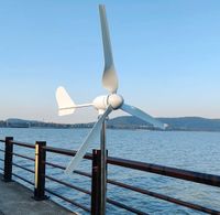 1000W Windkraftanlage 24V Windgenerator Windturbine Windrad NEU Hessen - Weilburg Vorschau