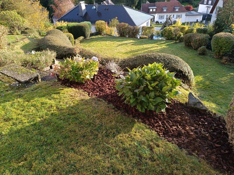 - Gartenpflege - Hecke schneiden, Rasen mähen, Baumfällung in Wipperfürth