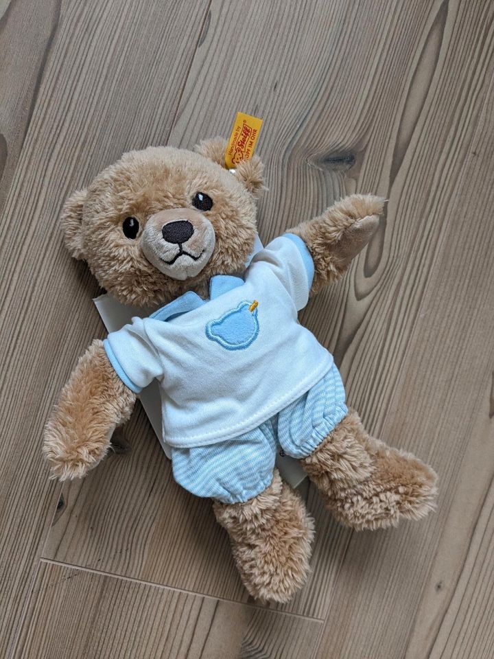 Steiff Teddybär Neu mit Etikett in Dobin am See