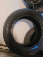 Sommerreifen 205/55 R 16 Nordrhein-Westfalen - Detmold Vorschau