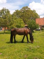 Pflege- und Reitbeteiligung Wallach (Pferd sucht FreundIn) Schleswig-Holstein - Bad Segeberg Vorschau
