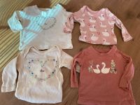 4 teilig Set Shirt Body 50 56 Baby Schwan love Sachsen - Chemnitz Vorschau