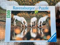 1500 Puzzle Pferde am Wasser Bayern - Knetzgau Vorschau