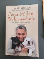 Cesar Millan Welpenschule,  Buch Bestseller Rheinland-Pfalz - Offenbach Vorschau