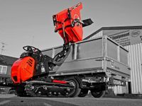 Cormidi C60  ACDHE Raupendumper Kettendumper Motorschubkarre NEU! Nordrhein-Westfalen - Schermbeck Vorschau