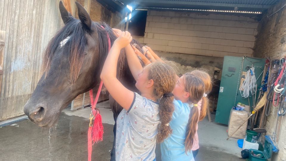 Reittherapie Reitunterricht für Kinder, Ponykindergarten ab 3 in Hochdonn