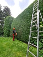 Baumschnitt, Hecken Schnitt, Hecke schneiden, Baumpflege, Strauch Hessen - Oberursel (Taunus) Vorschau