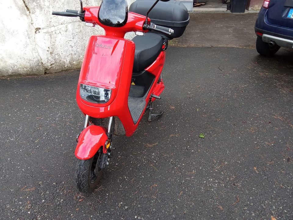 Elektroroller Stalker XT2000 Rot in Ebermannstadt