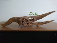 Dinosaurier Schädel * Pteranodon * Replik * Fossil * Flugsaurier Eimsbüttel - Hamburg Schnelsen Vorschau