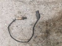 Elektronensonde AUDI A4 B8 Skoda superb 2.0 tdi 031906262 Bayern - Bindlach Vorschau