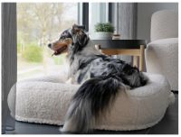 NEU WOOLY Hundebett LOUI - stilvolle Hundebetten orthopädisch Innenstadt - Köln Altstadt Vorschau