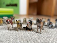 Hunde Schleich (4) + 14 andere Sachsen-Anhalt - Quedlinburg OT Gernrode Vorschau