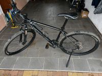 Giant Talon 1, 29Er, 49cm, wie neu Bayern - Königstein Vorschau