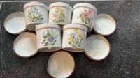 Set 5 Blumentopf Kakteentopf vintage 70er Nordrhein-Westfalen - Langerwehe Vorschau