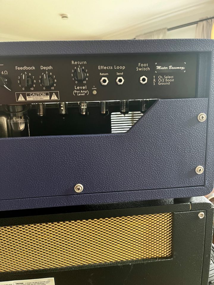 Custom Audio Amplifiers OD-100 Classic Limited Edition Purple in Centrum