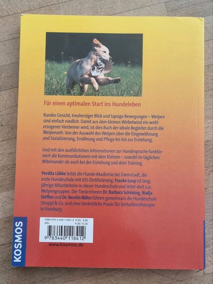 Welpen Buch Ratgeber in Giengen an der Brenz