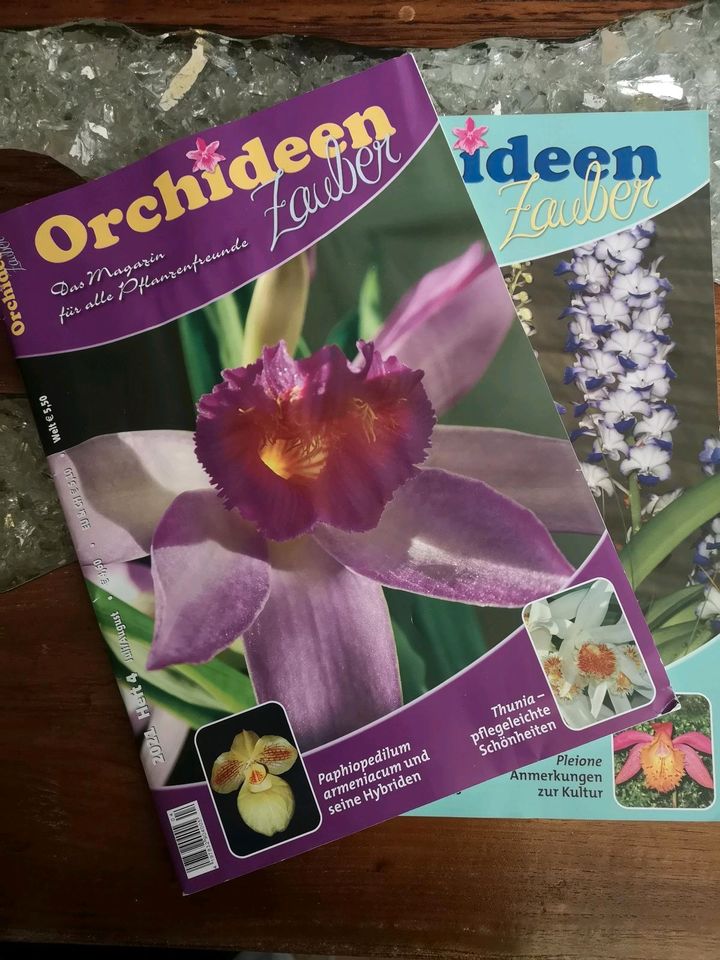 Orchideen Zauber Heft 3 / 4 / 2021 Zeitschrift in Senden