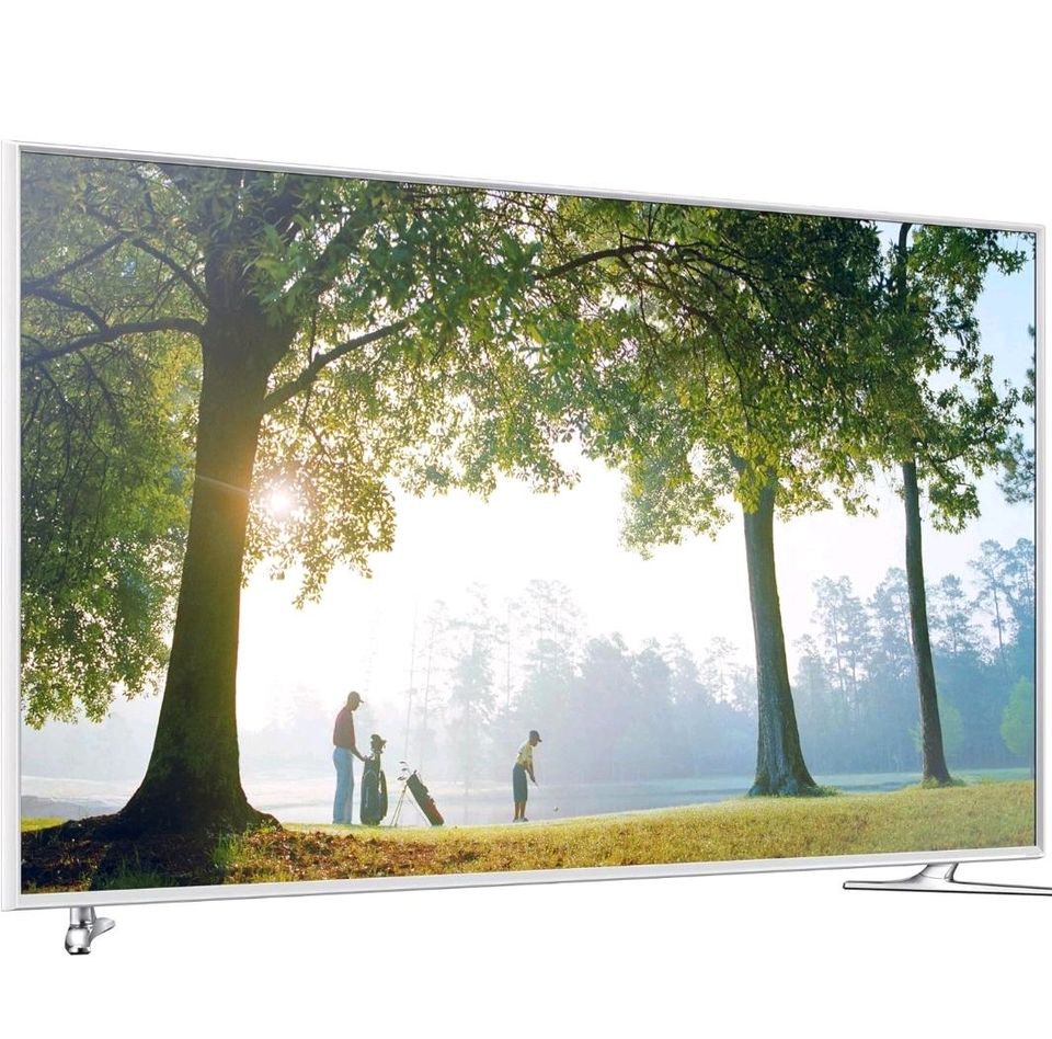 3D Samsung Smart TV UE40H6410, kristallweiß +Bose Companion 2 in Hildesheim