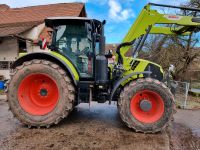 Claas Arion 650 CMATIC CIS+ mit FL u.FZW erst 1620 Std Bayern - Erlangen Vorschau