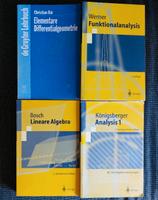 Verschiedene Bücher Studium Mathematik Bayern - Nittenau Vorschau