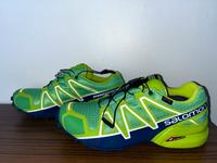 Salomon Speedcross 4 GTX • Neon Grün • Gr. 42 2/3 • neuwertig Essen - Essen-Borbeck Vorschau