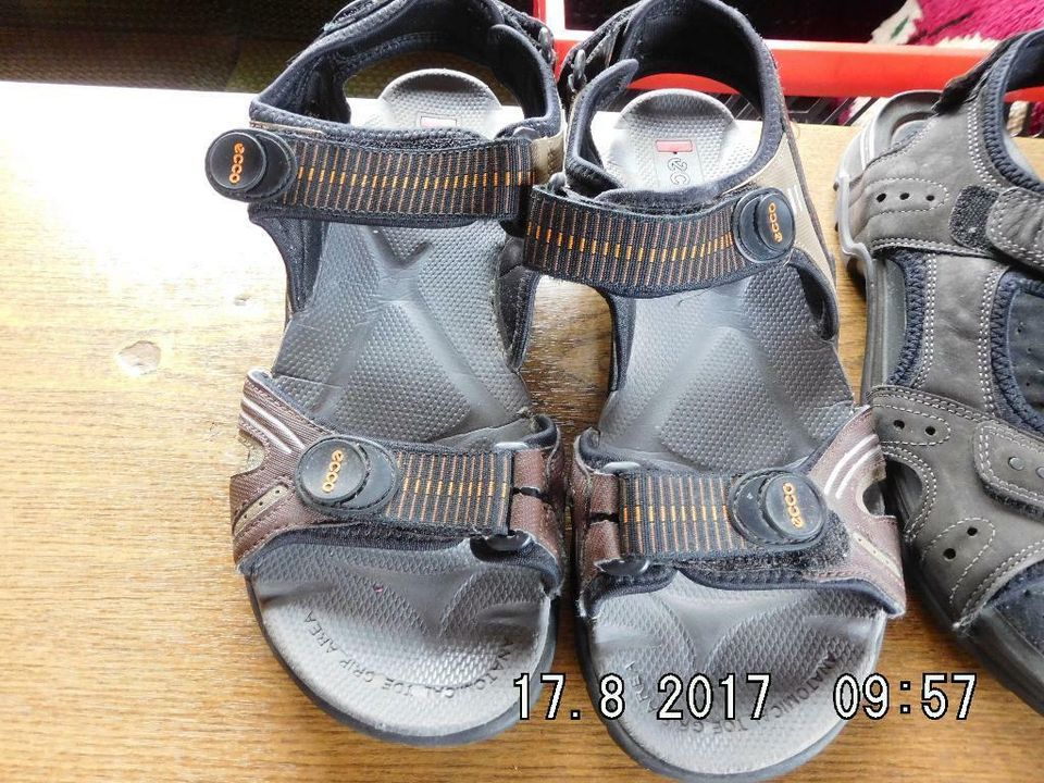 ECCO Sandalen Größe 42 in Hagen