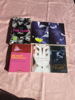 Erotische Literatur Bücher Colors of love the Club flirt Brandenburg - Lauchhammer Vorschau