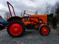 Porsche Allgaier AP 17 Traktor Hessen - Usingen Vorschau