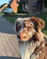 Wohnung Mieten in Xanten kleinanzeigen.de