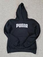 Puma Kapuzenpullover in 40 Niedersachsen - Tespe Vorschau