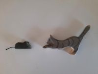 Ostheimer Katze mit Maus Baden-Württemberg - Ilsfeld Vorschau