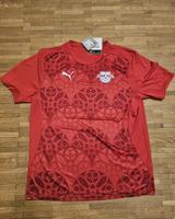 Puma RBL Red Bull Leipzig Herren Pre Tee Trainingsshirt Shirt XL Bayern - Kümmersbruck Vorschau