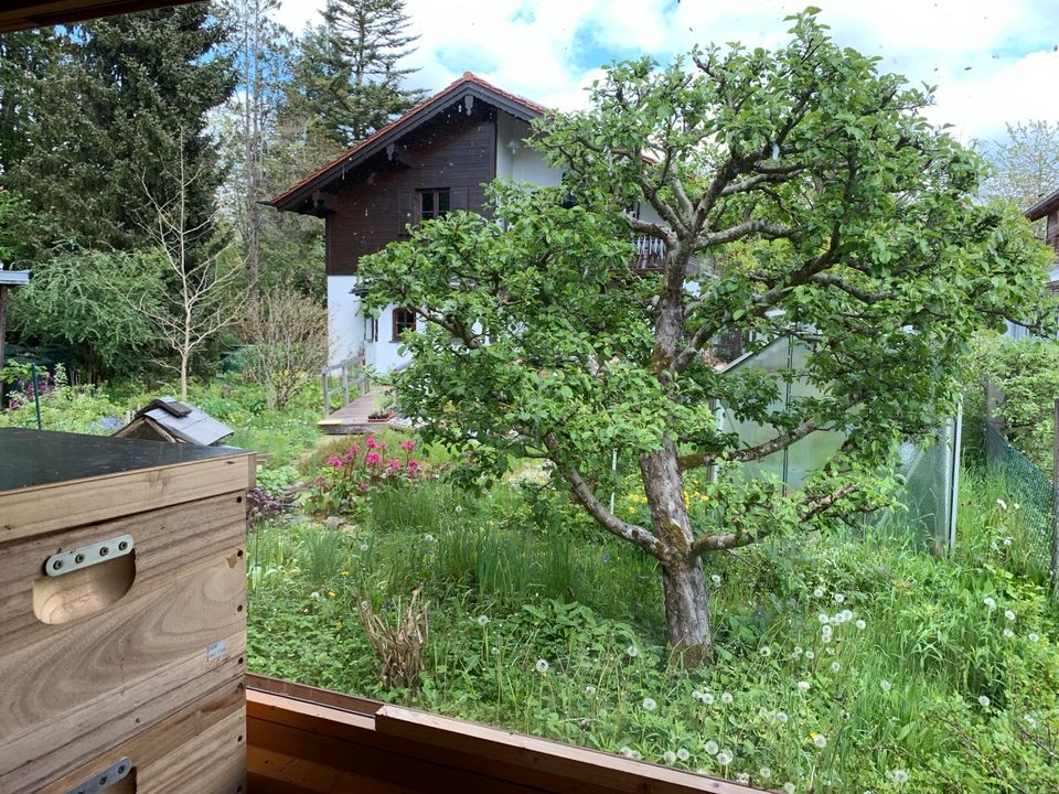 außergewöhnliche Übernachtung im Bienenhaus in Oberhaching