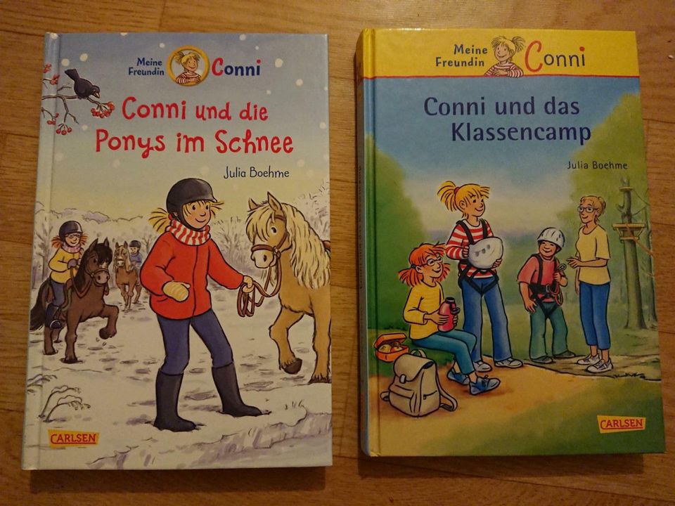 Bücher Conni und die Ponys im Schnee, Conni und das Klassencamp in Berlin