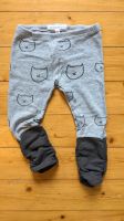 Leggings von Bellybutton in grau mit Katzen Größe 74 Aachen - Aachen-Mitte Vorschau