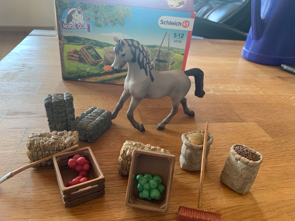 Schleich Set in Berkatal