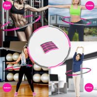 Profi Hula Hoop Reifen Fitness Reifen 8-teilig pink/grau Neu OVP Schleswig-Holstein - Stapelfeld Vorschau