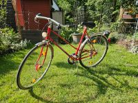 Peugeot Fahrrad carbolite 103 France Brandenburg - Lübbenau (Spreewald) Vorschau