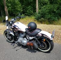 Harley Davidson Sportster 883 Niedersachsen - Winsen (Luhe) Vorschau