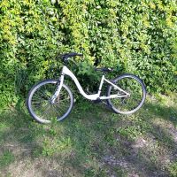 24 Zoll Fahrrad Mountainbike mit Schaltung Mecklenburg-Vorpommern - Stolpe auf Usedom Vorschau