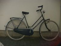 Hollandrad Consul  RH55cm 28 Zoll 3 Gänge Bonn - Tannenbusch Vorschau