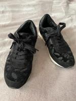 Turnschuhe Gr. 37 Calvin Klein Brandenburg - Teltow Vorschau