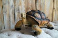 Schildkröte Lebensgroße Figur Haus und Garten Deko Nordrhein-Westfalen - Vettweiß Vorschau